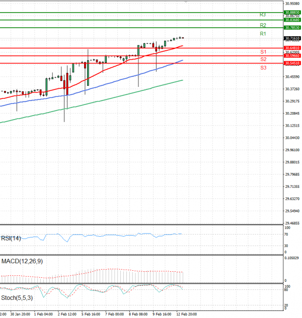 Dollar - Turkish Lira Analysis Technical analysis 13/02/2024